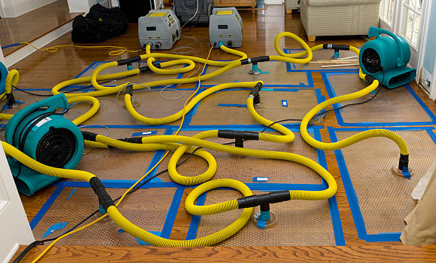 Professional Crawl Space Water Removal technician working in Auburndale, FL